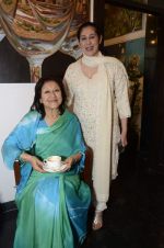 Queen of Jaipur Vidya Ji at Hacienda art gallery to launch silver exhibition in Kalaghoda, Mumbai on 16th Jan 2013 (39).JPG